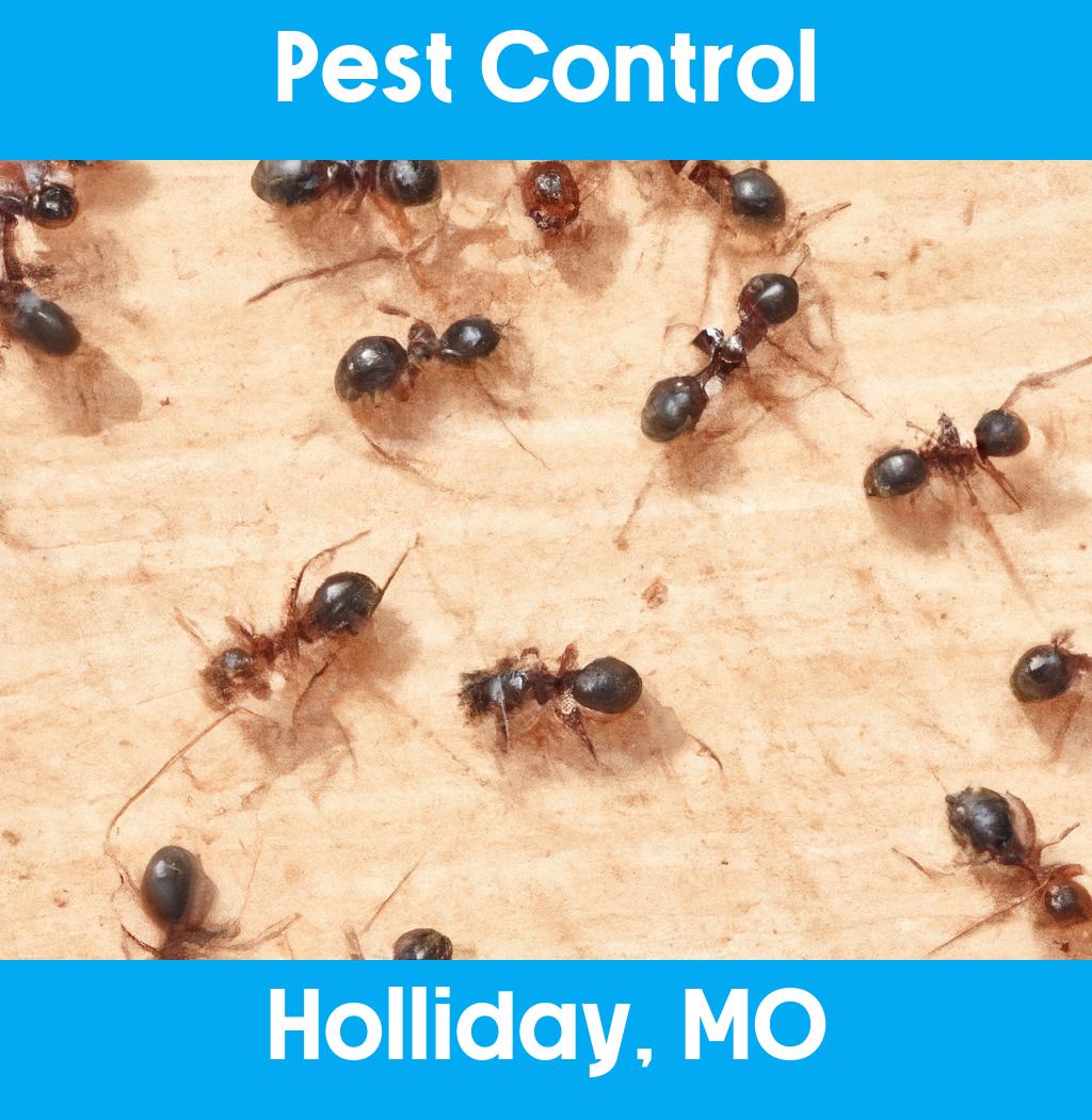 pest control in Holliday Missouri