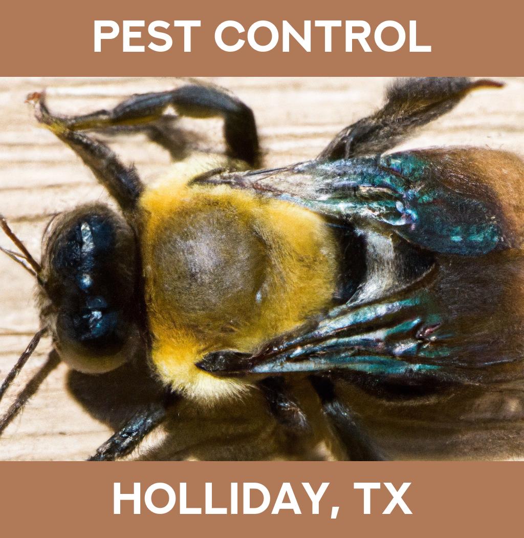 pest control in Holliday Texas