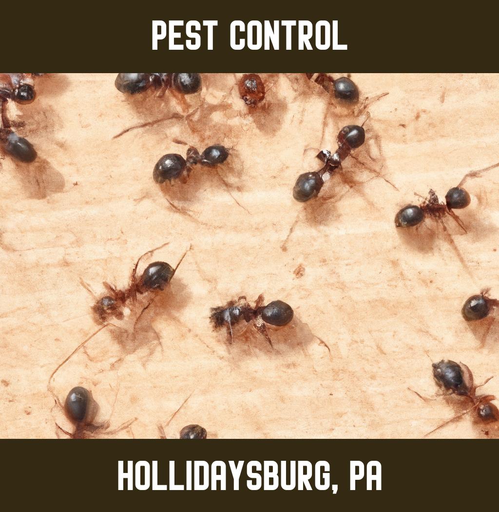 pest control in Hollidaysburg Pennsylvania
