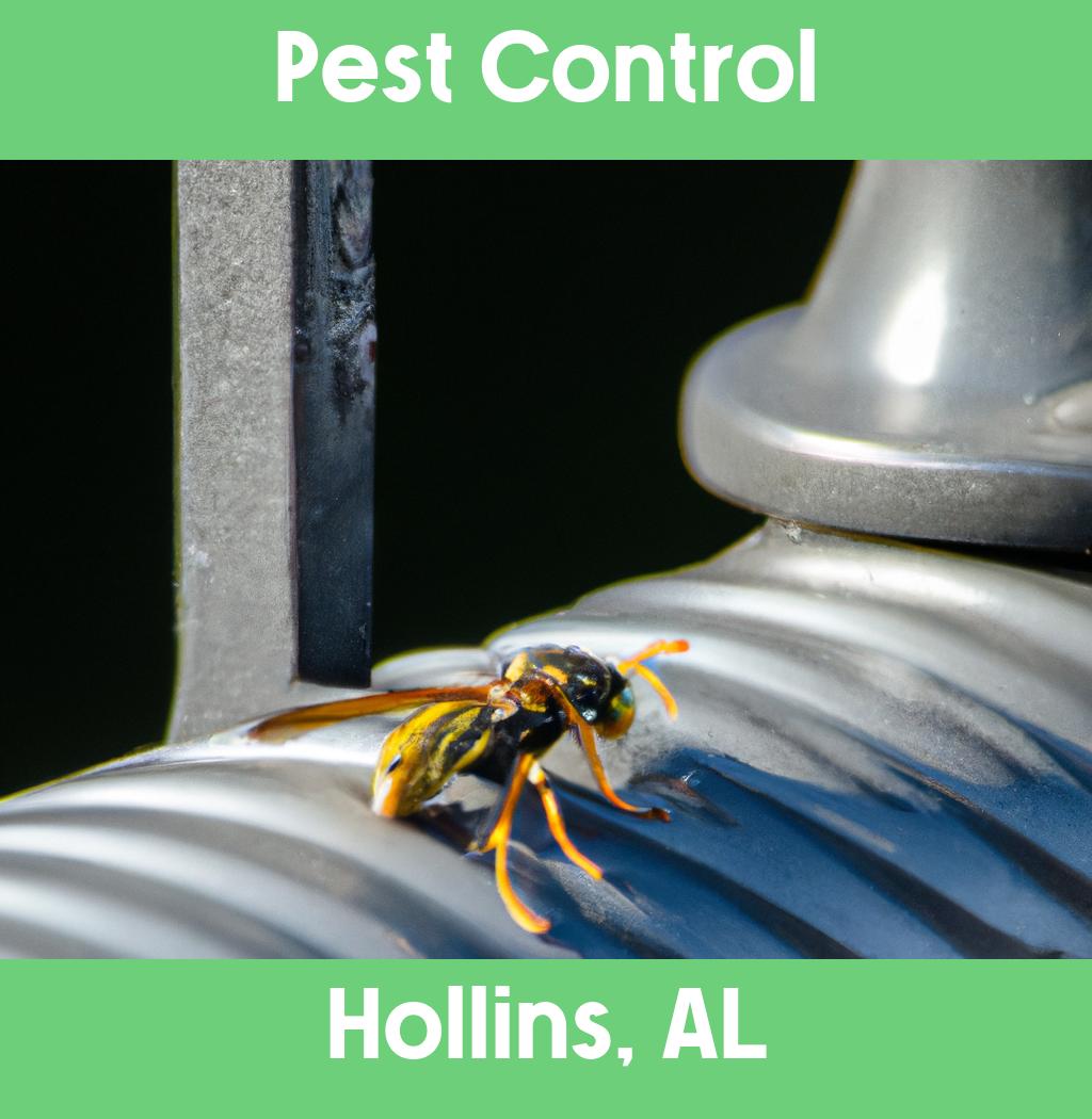 pest control in Hollins Alabama