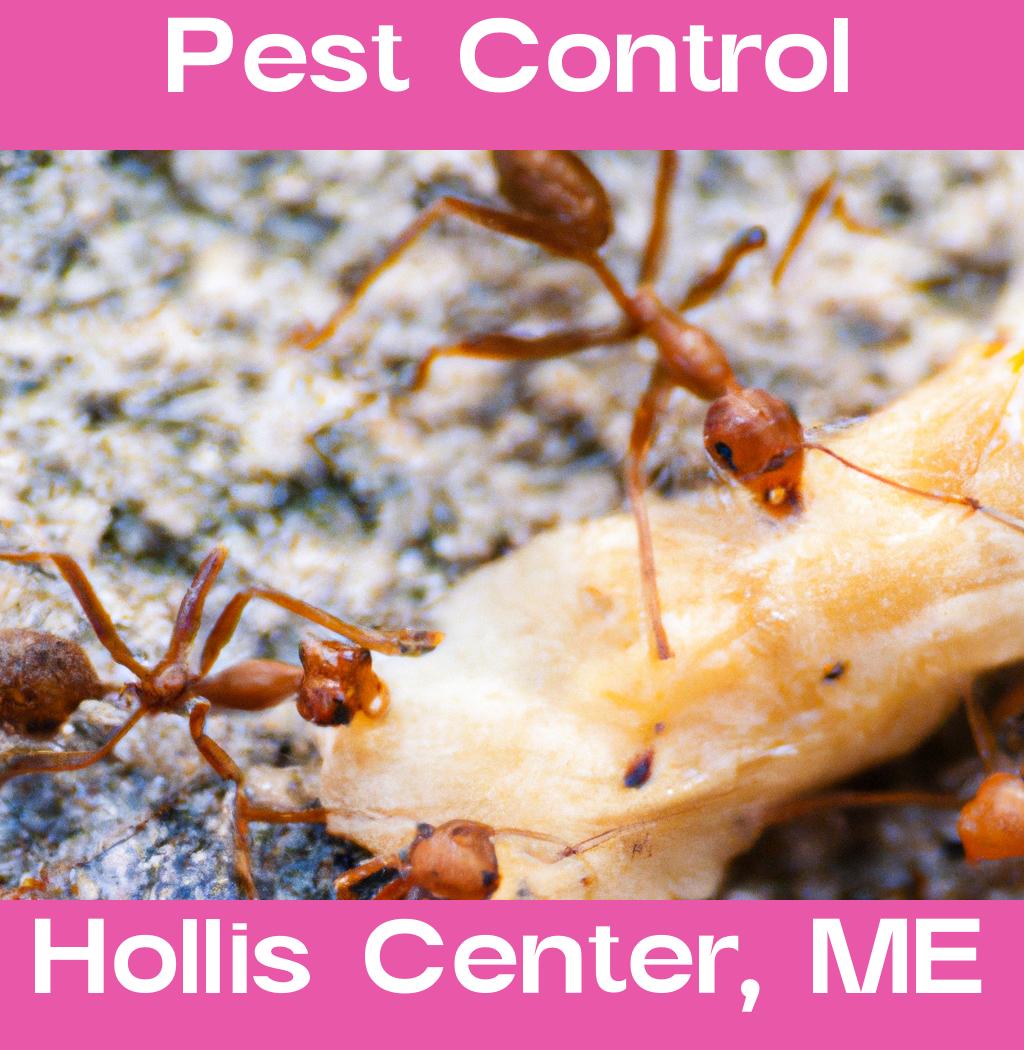 pest control in Hollis Center Maine