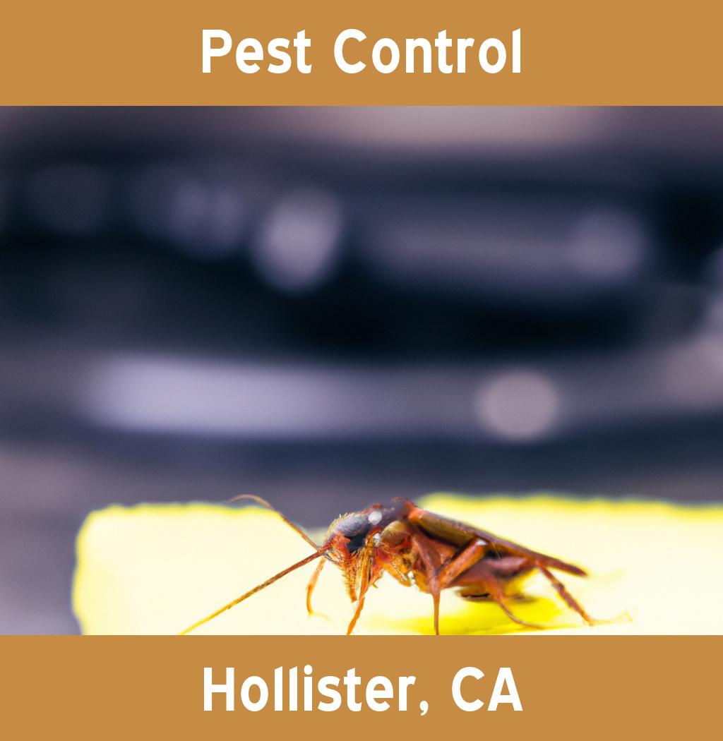 pest control in Hollister California