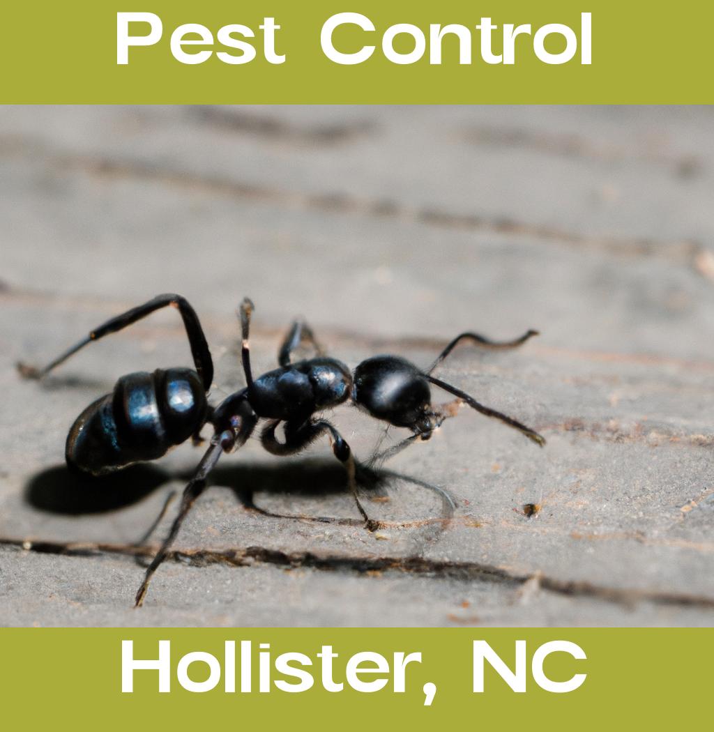 pest control in Hollister North Carolina