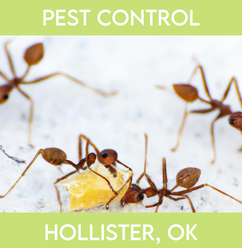 pest control in Hollister Oklahoma