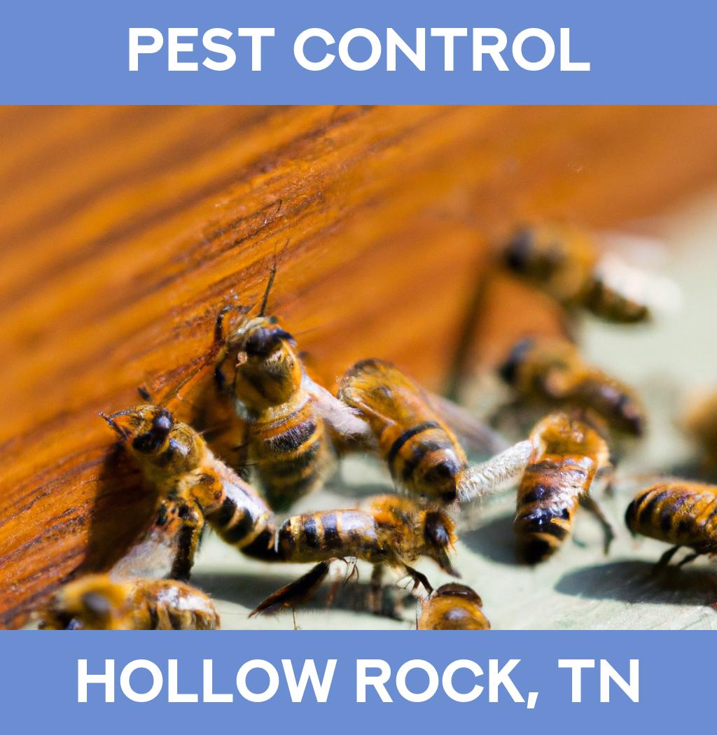 pest control in Hollow Rock Tennessee