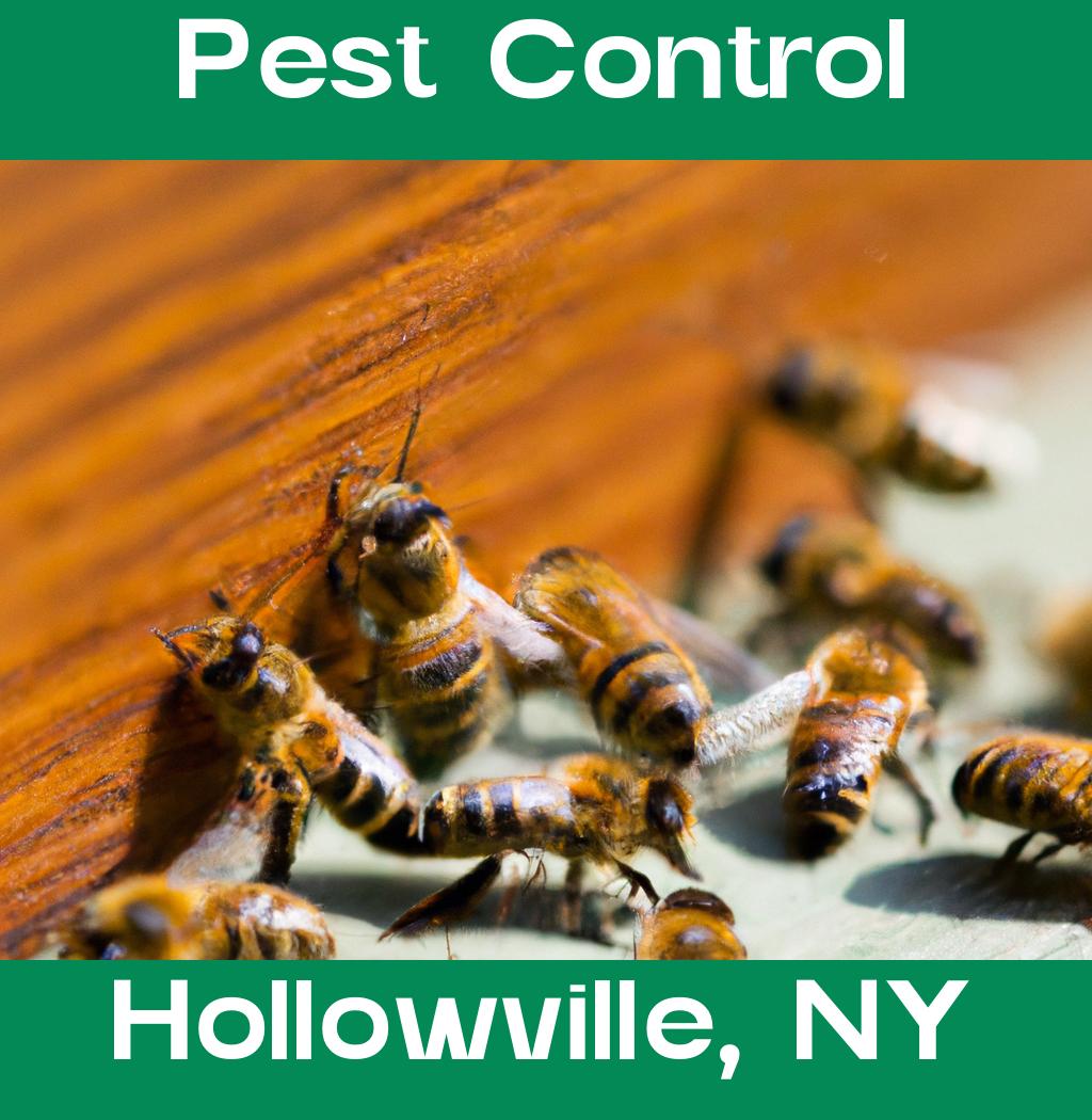 pest control in Hollowville New York