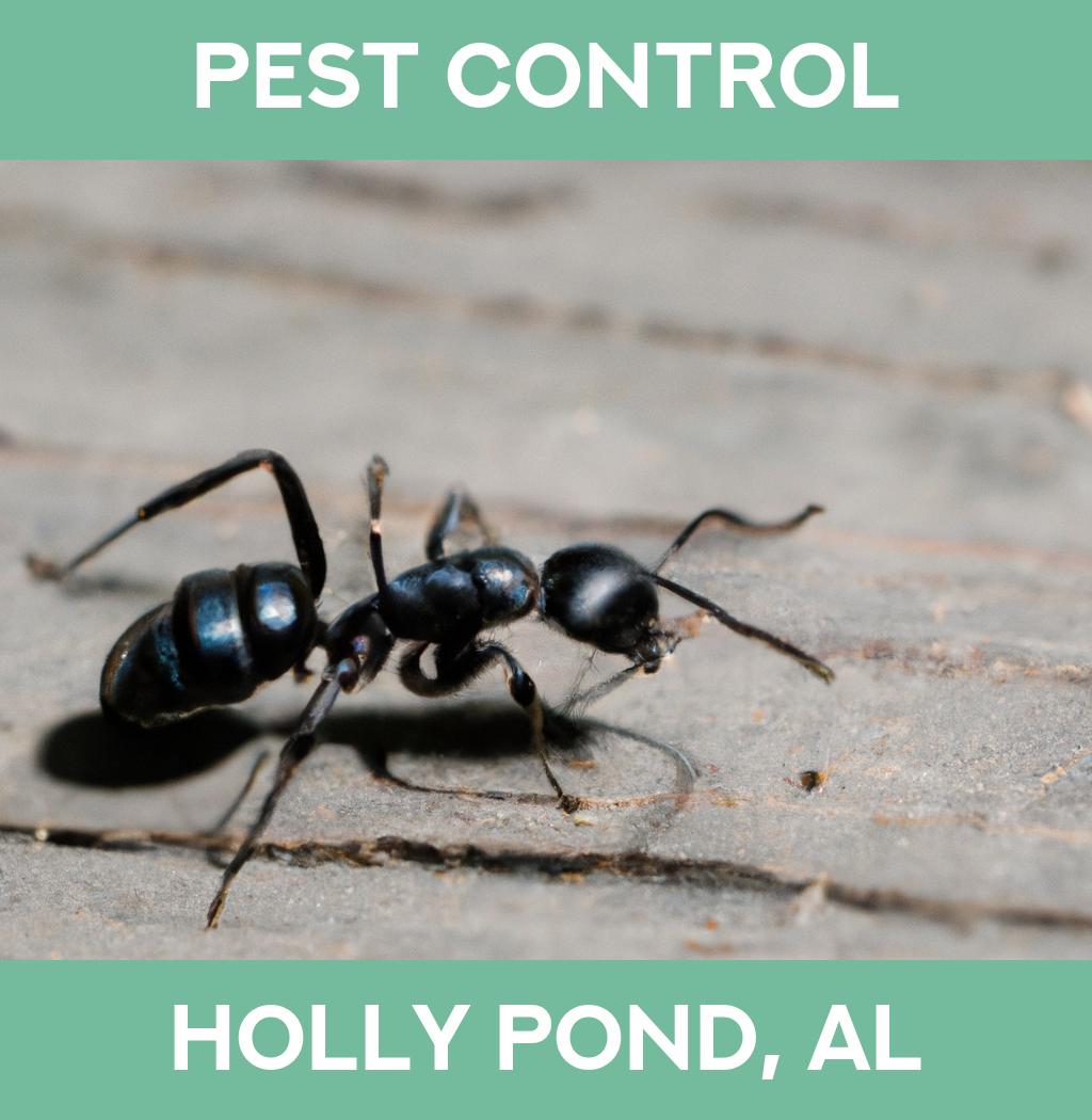 pest control in Holly Pond Alabama