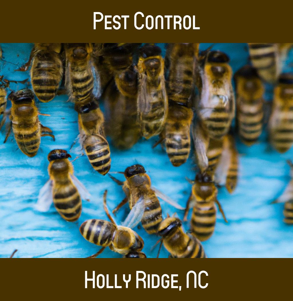 pest control in Holly Ridge North Carolina