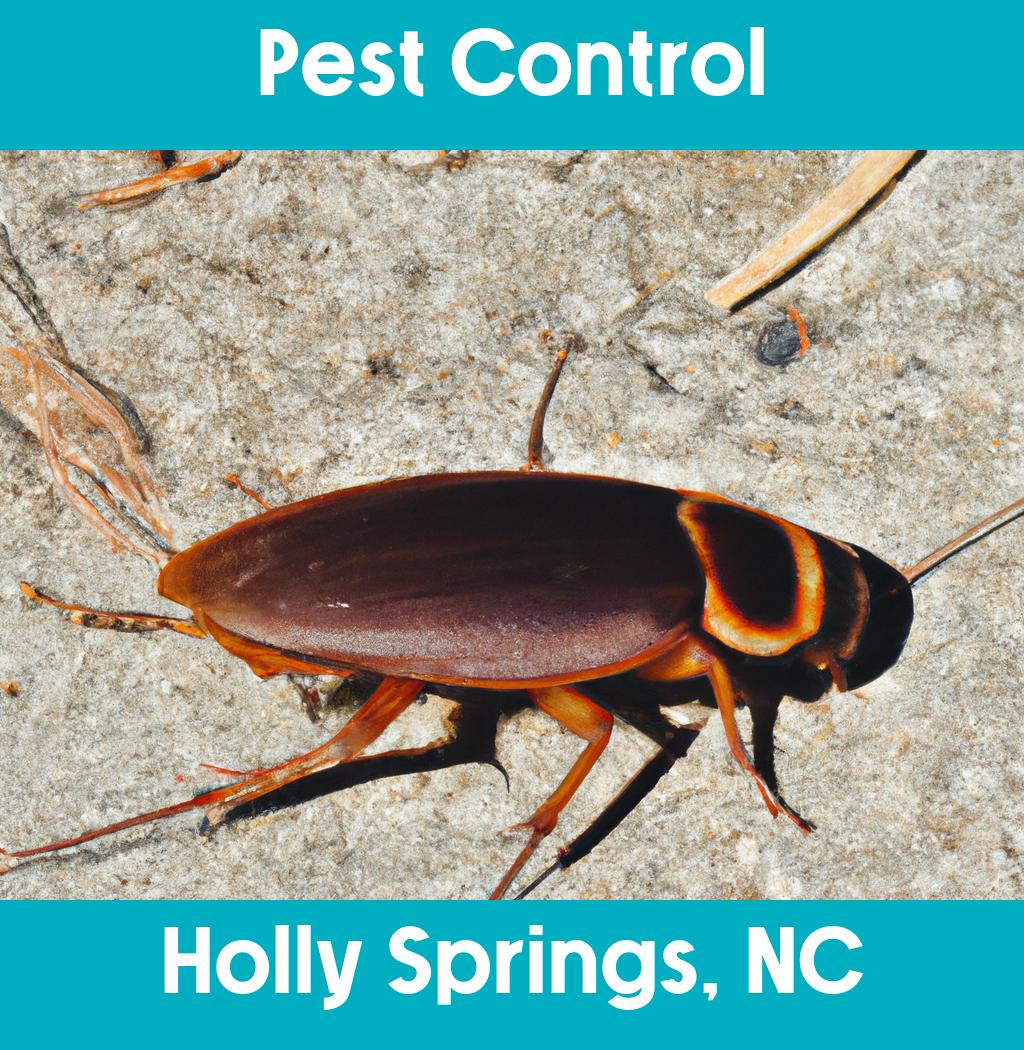 pest control in Holly Springs North Carolina