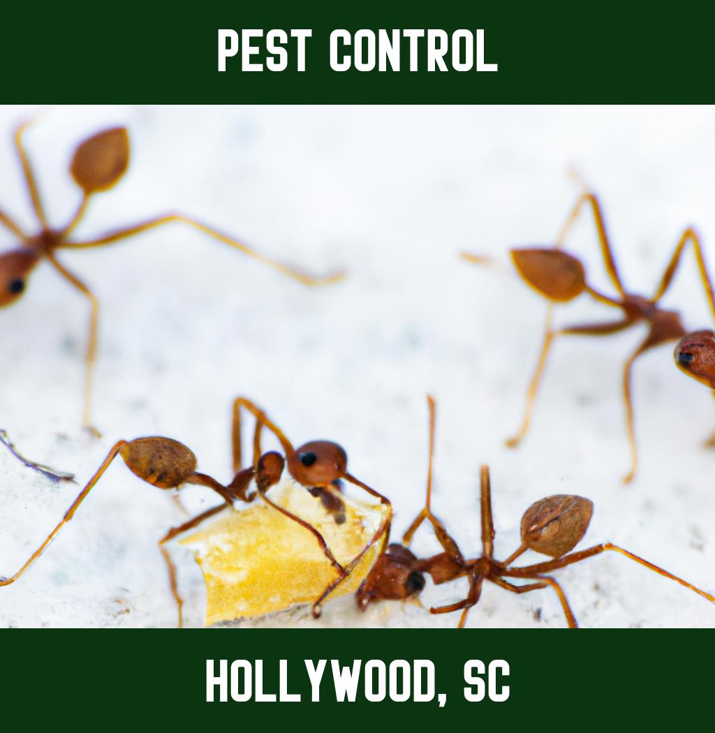pest control in Hollywood South Carolina