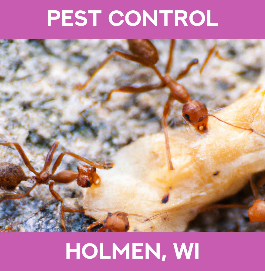 pest control in Holmen Wisconsin