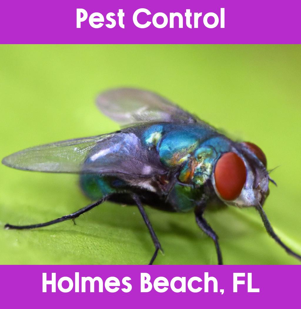 pest control in Holmes Beach Florida