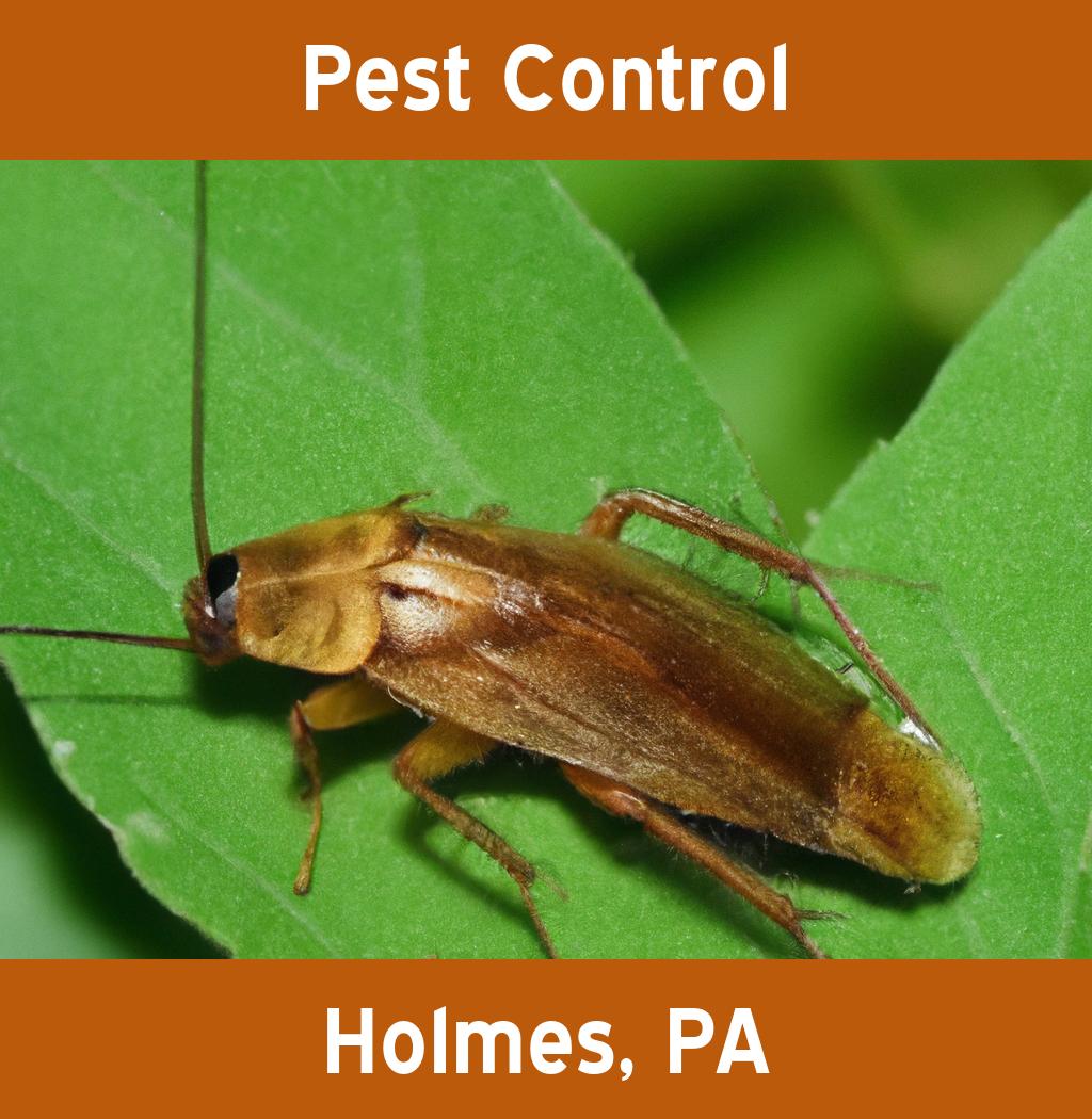 pest control in Holmes Pennsylvania