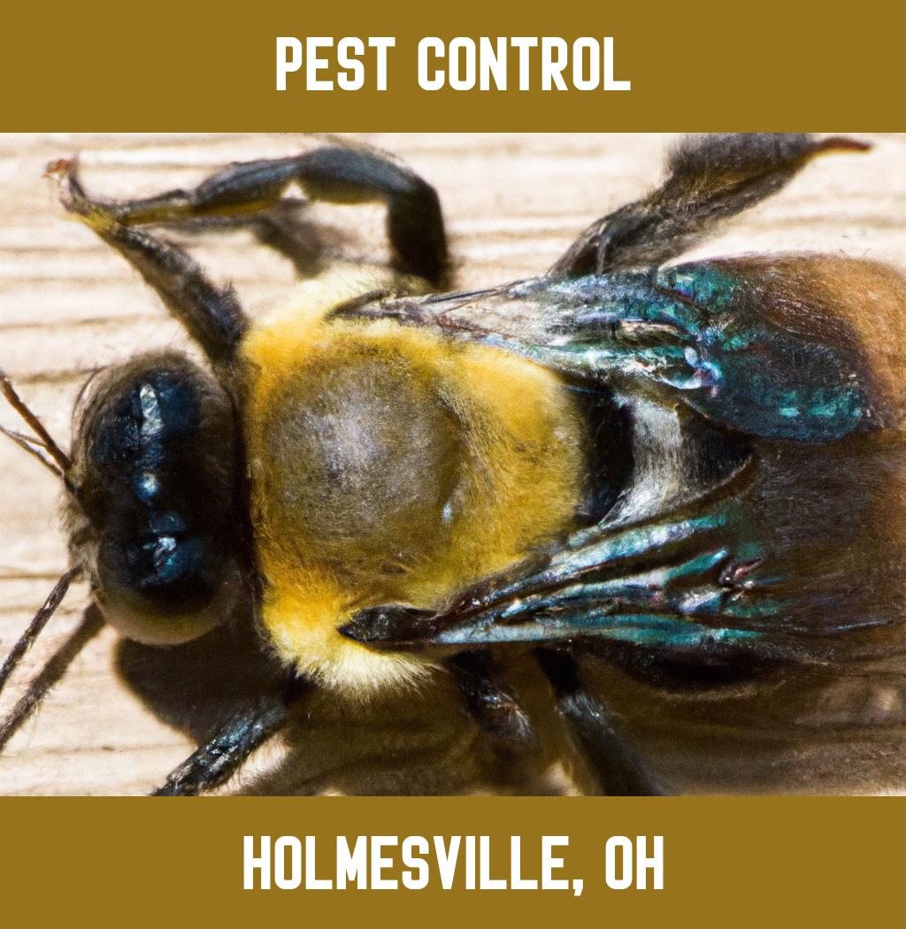pest control in Holmesville Ohio