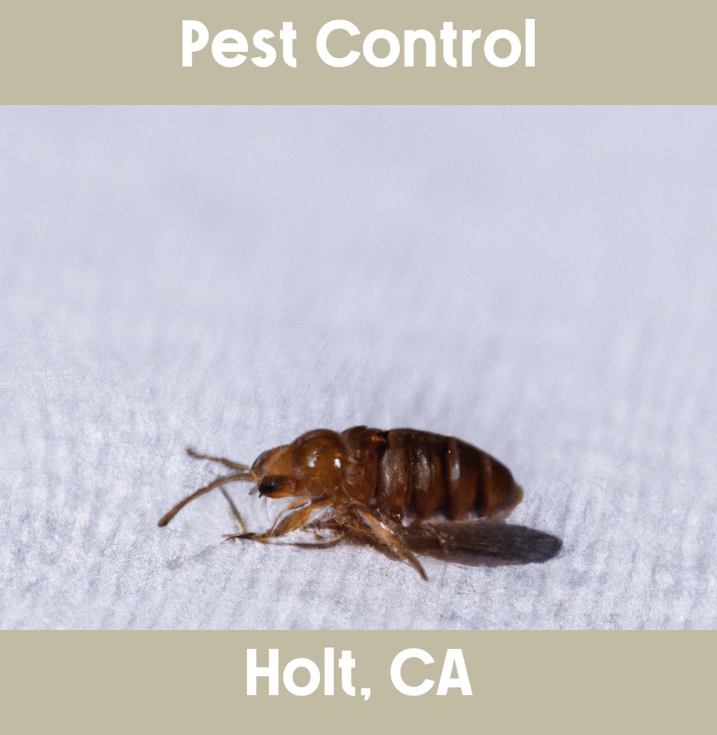 pest control in Holt California