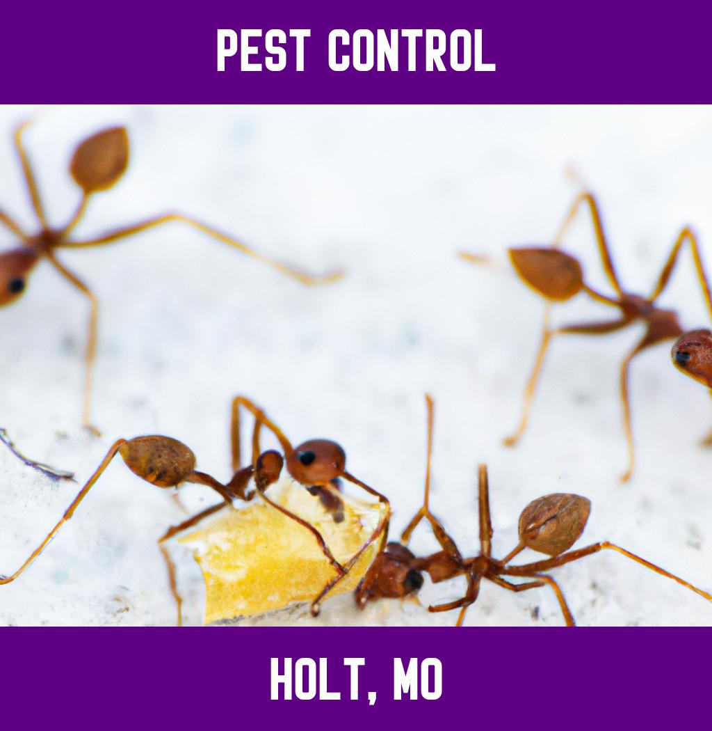 pest control in Holt Missouri
