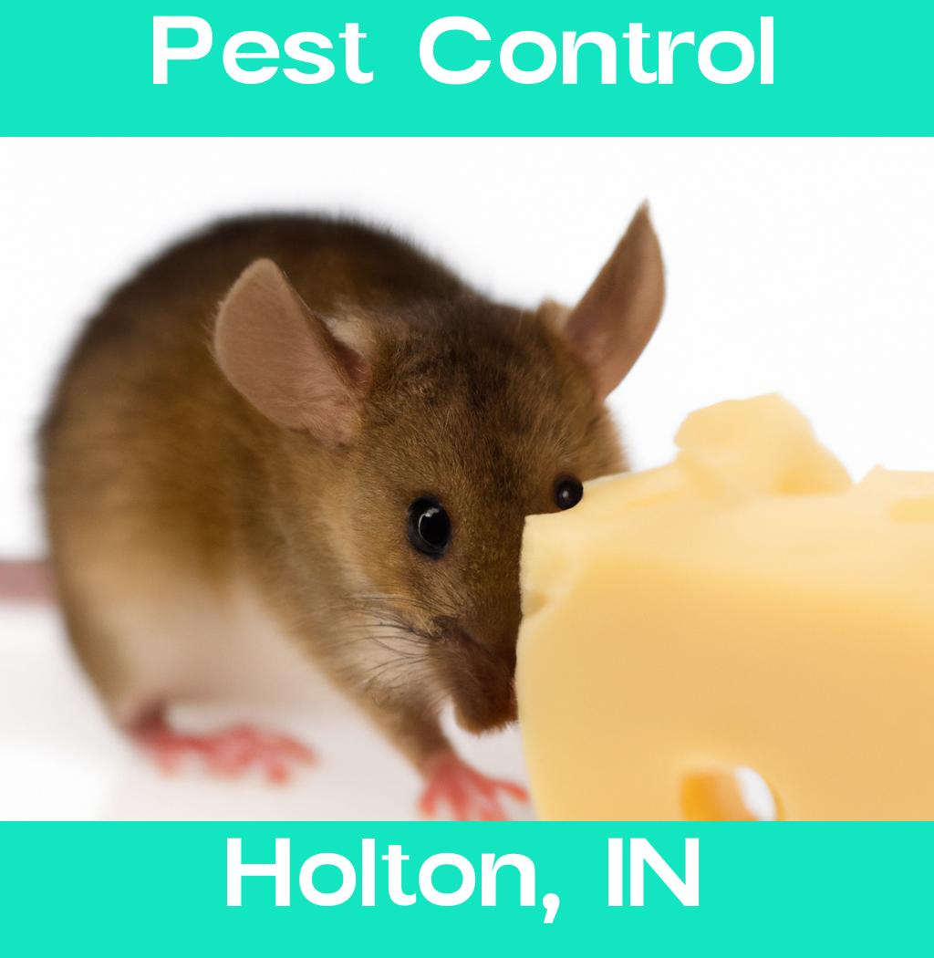 pest control in Holton Indiana