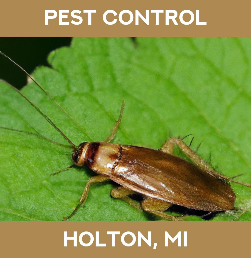 pest control in Holton Michigan