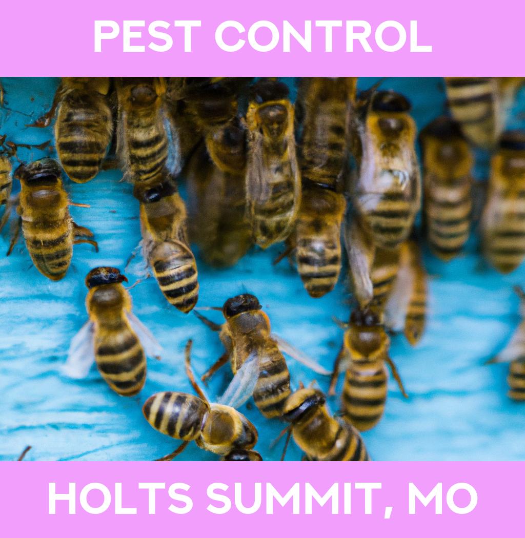 pest control in Holts Summit Missouri