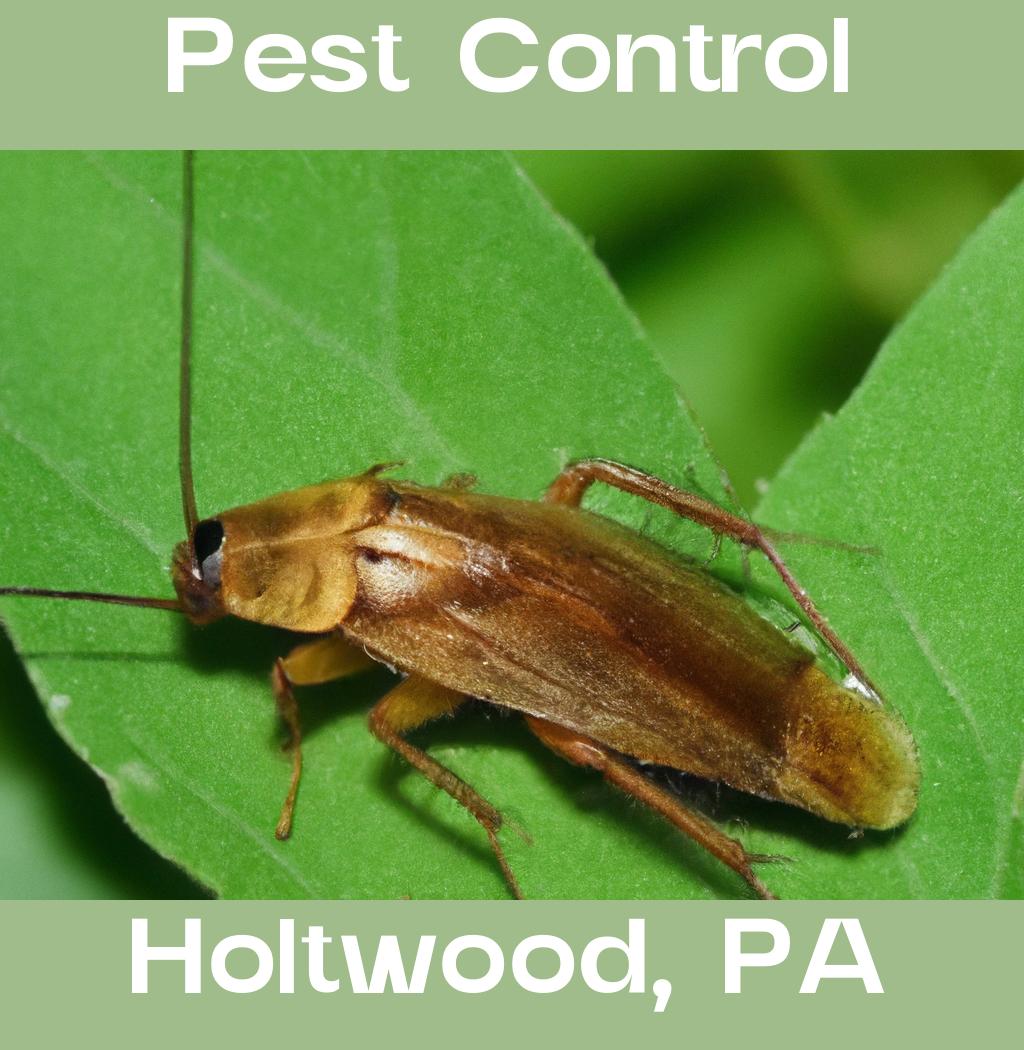 pest control in Holtwood Pennsylvania