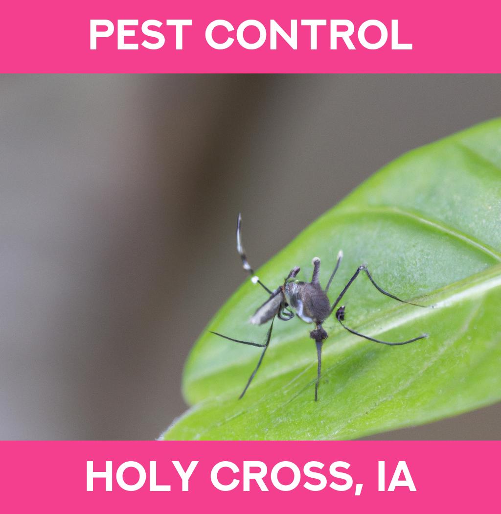 pest control in Holy Cross Iowa