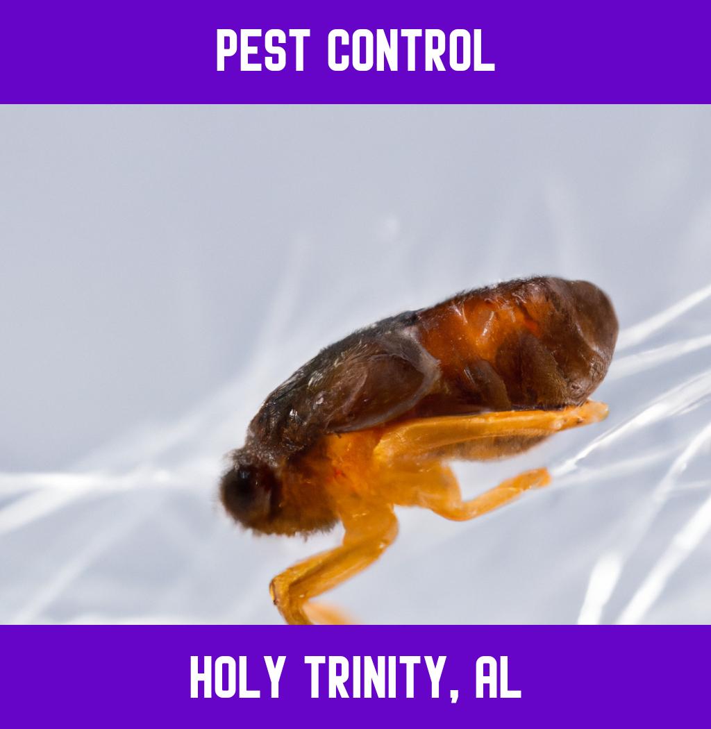 pest control in Holy Trinity Alabama