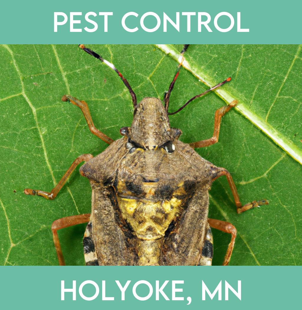 pest control in Holyoke Minnesota