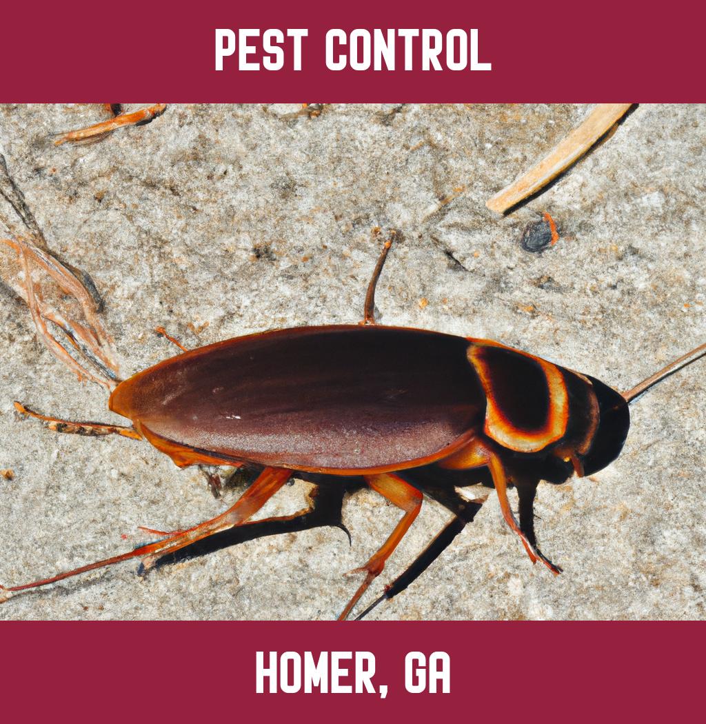pest control in Homer Georgia
