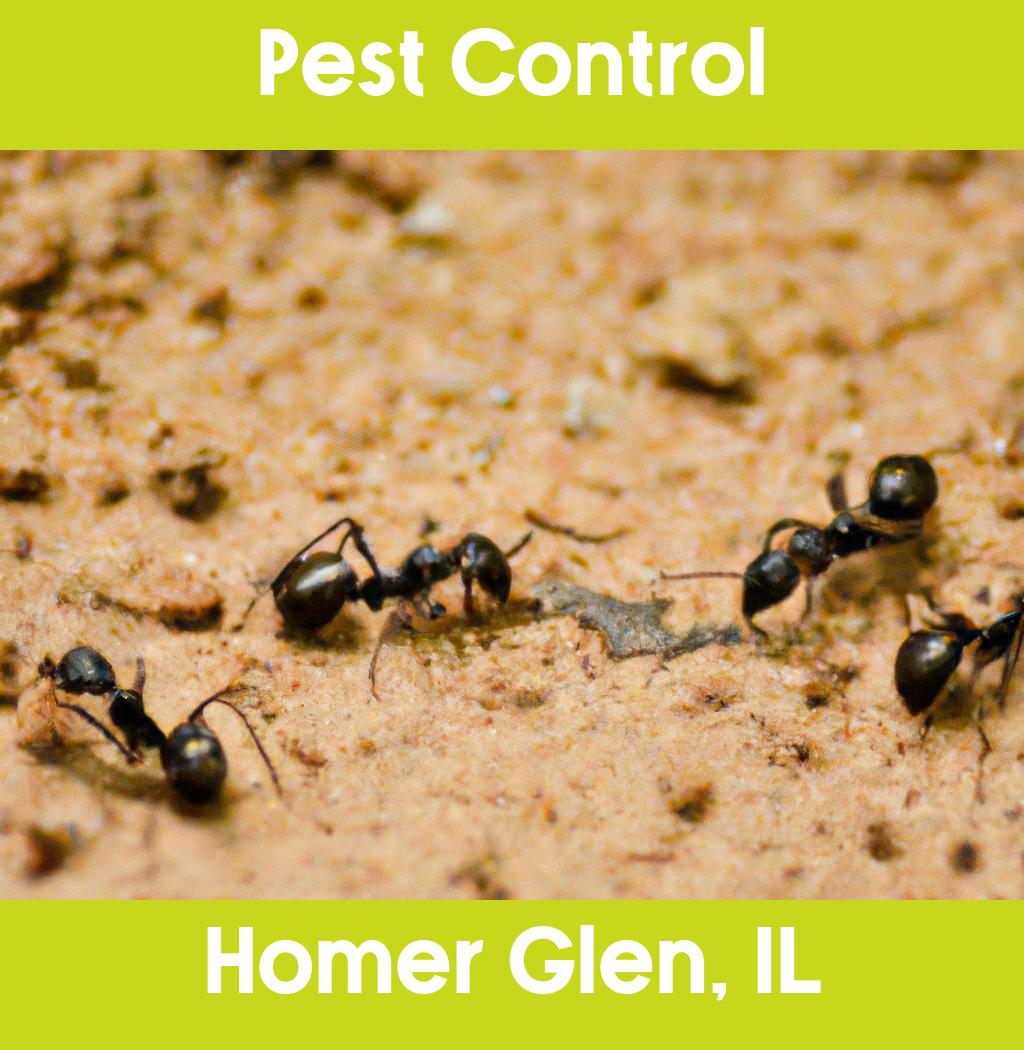 pest control in Homer Glen Illinois