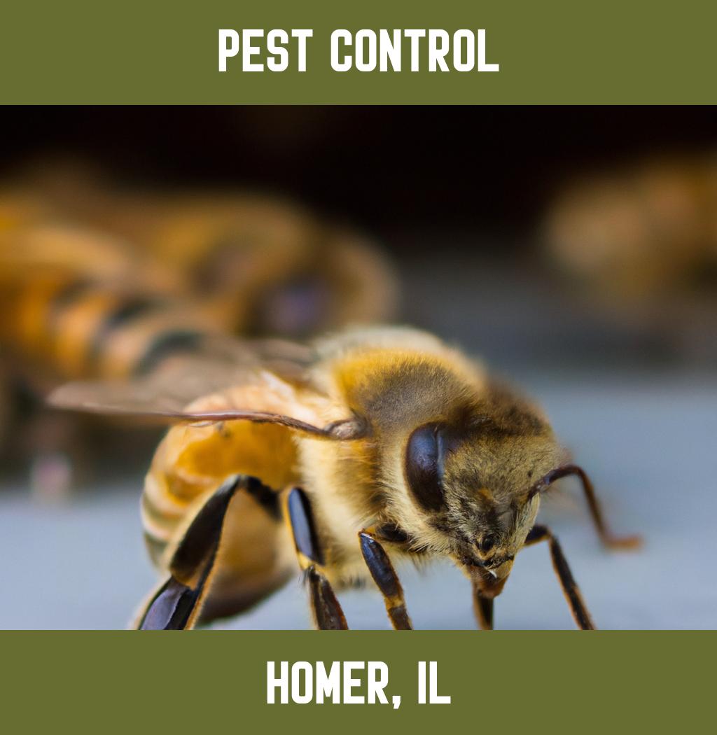 pest control in Homer Illinois