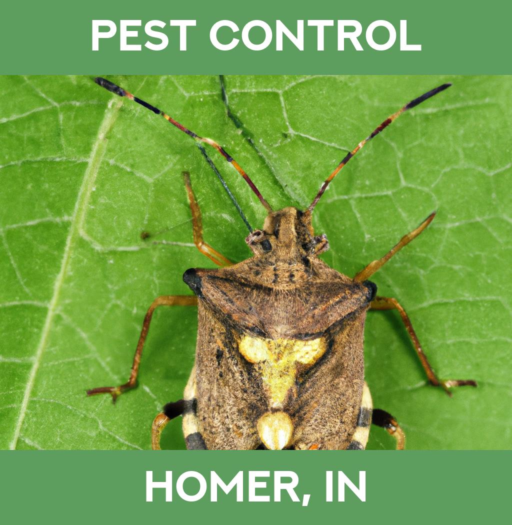 pest control in Homer Indiana