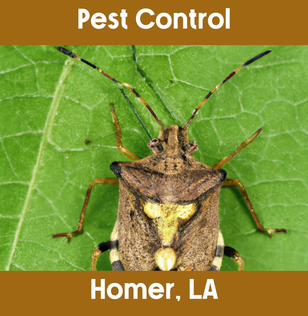 pest control in Homer Louisiana