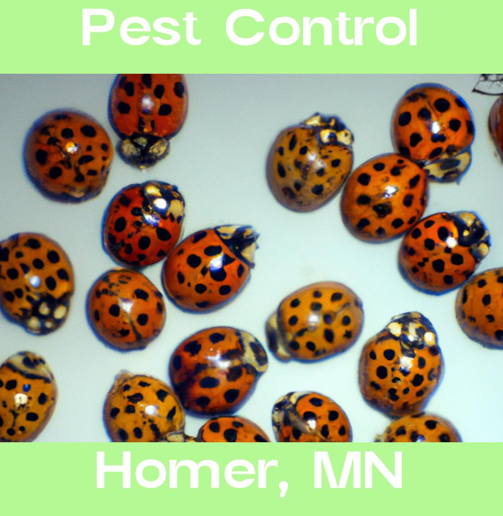 pest control in Homer Minnesota