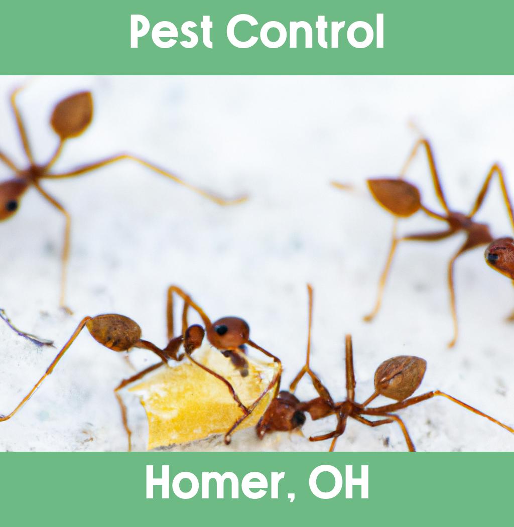 pest control in Homer Ohio