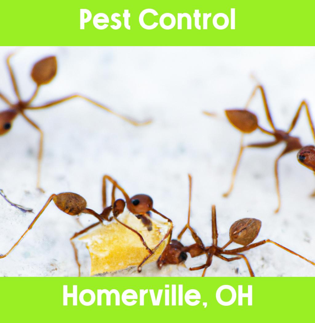 pest control in Homerville Ohio