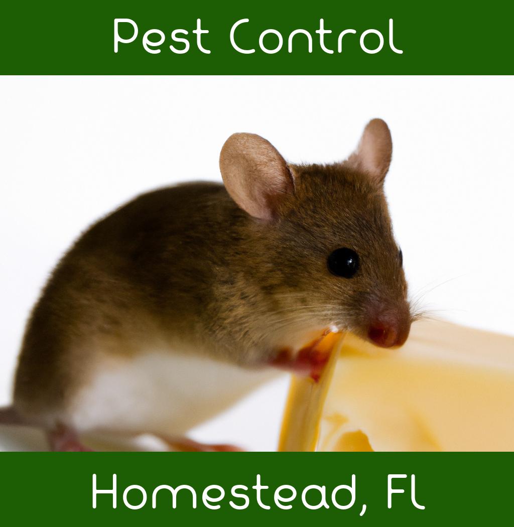 pest control in Homestead Florida