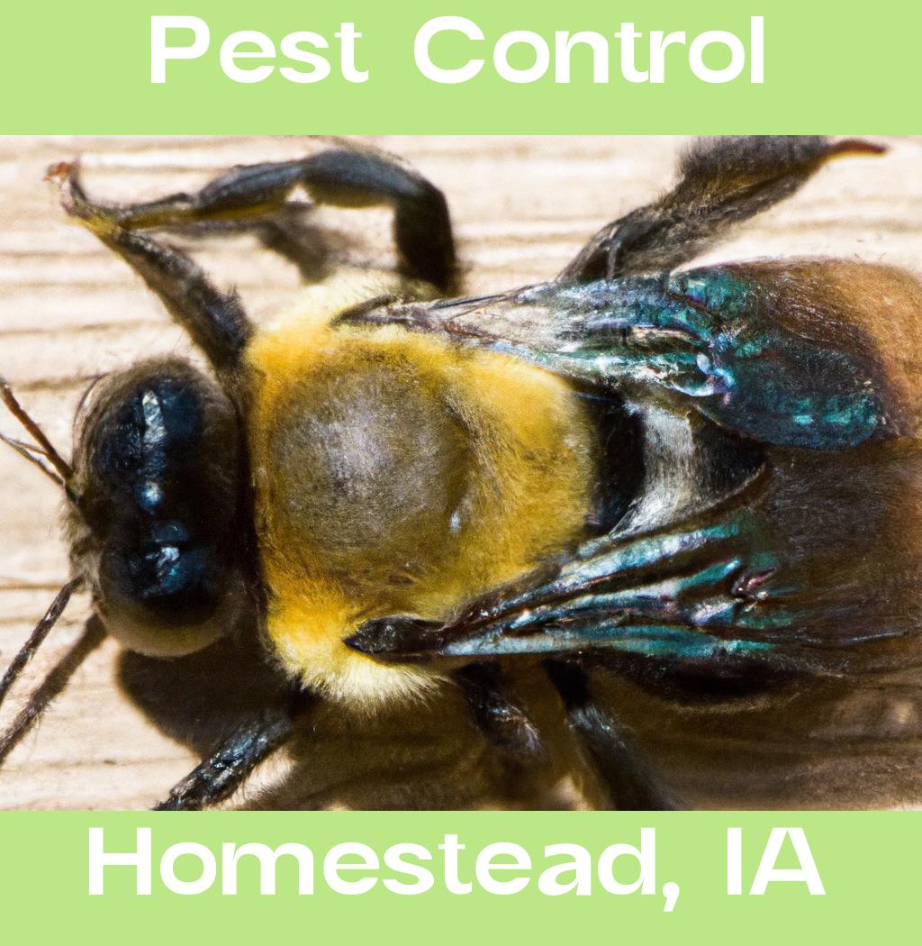 pest control in Homestead Iowa