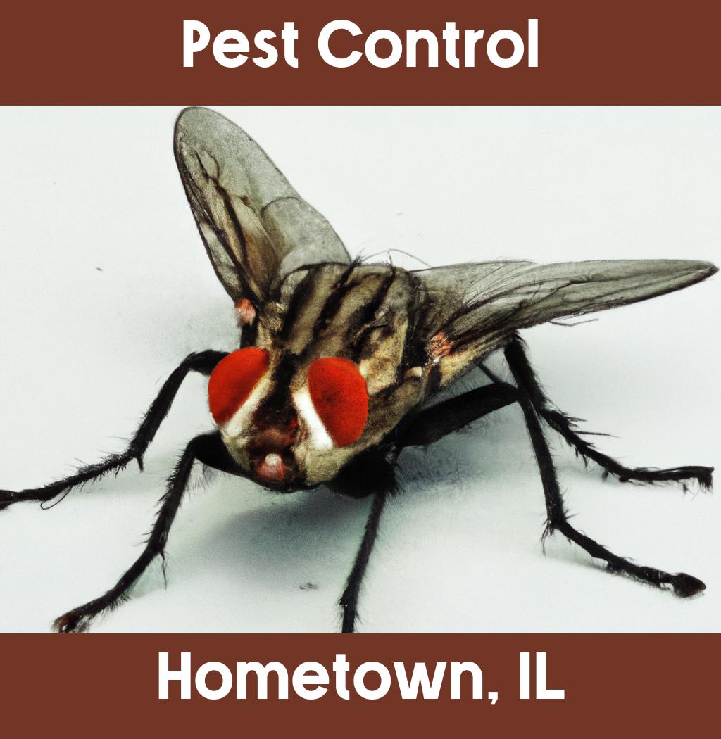 pest control in Hometown Illinois