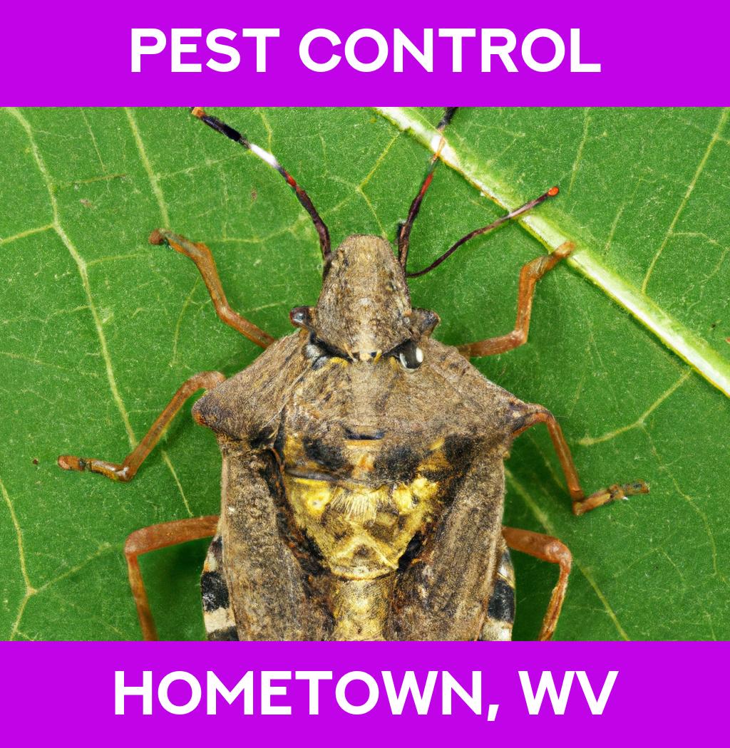 pest control in Hometown West Virginia