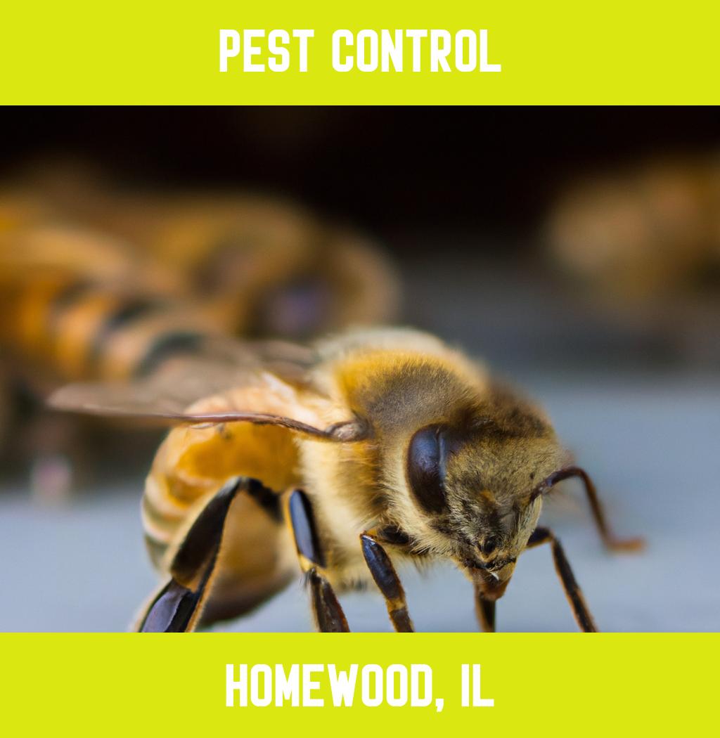 pest control in Homewood Illinois