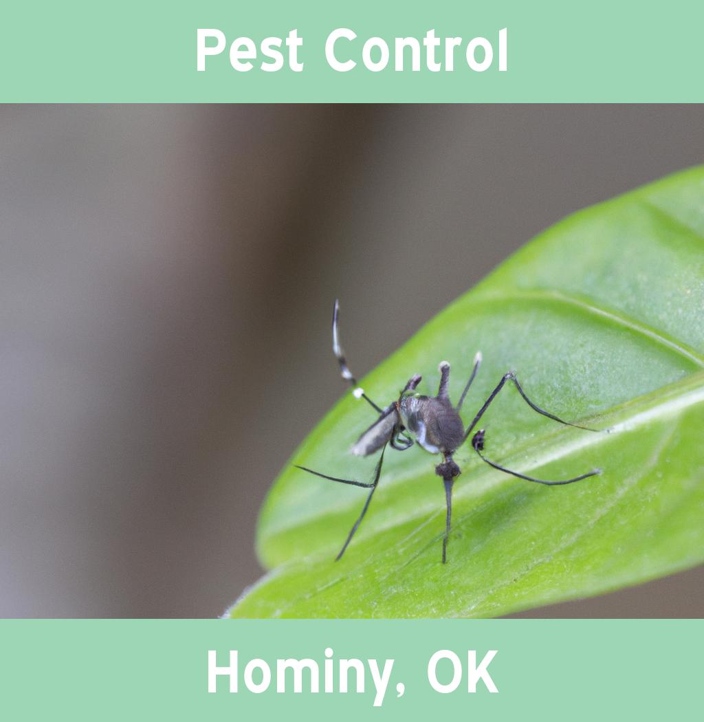 pest control in Hominy Oklahoma