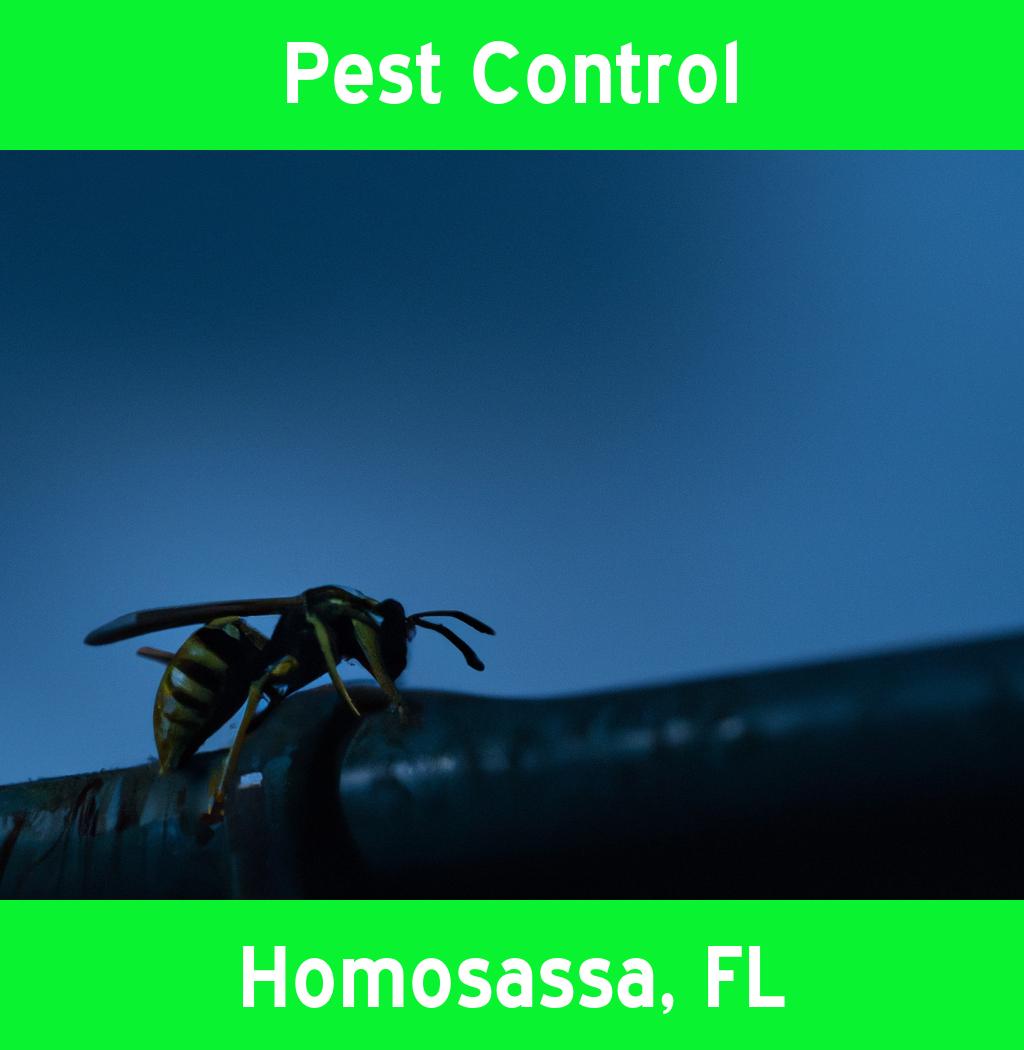 pest control in Homosassa Florida