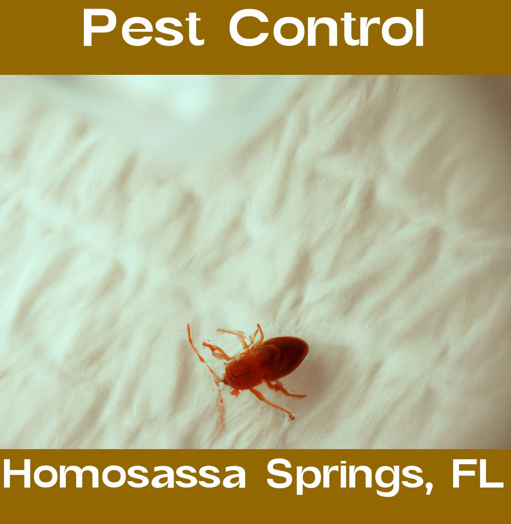 pest control in Homosassa Springs Florida
