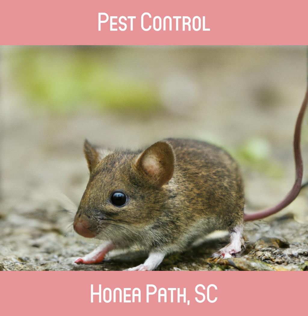 pest control in Honea Path South Carolina