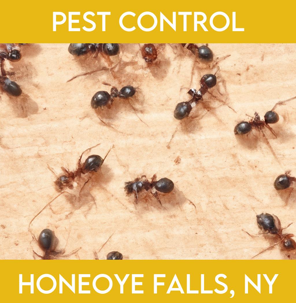 pest control in Honeoye Falls New York