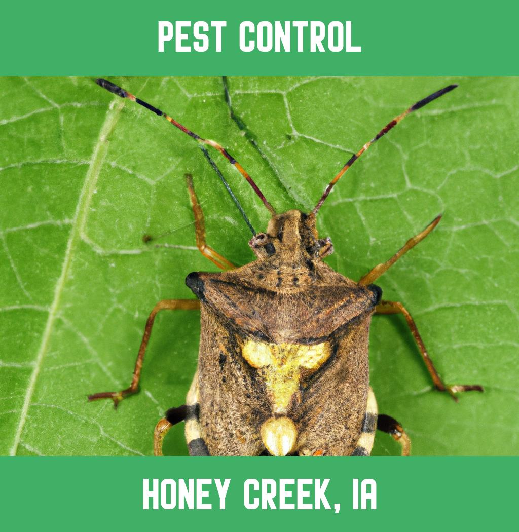 pest control in Honey Creek Iowa
