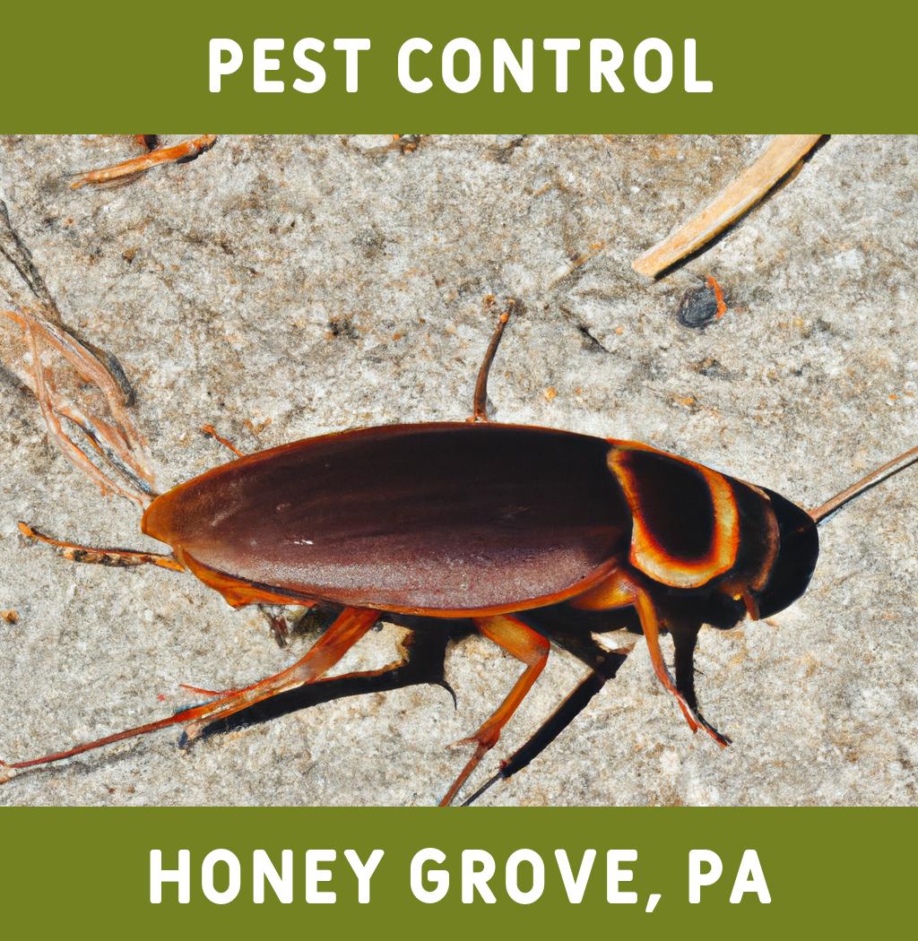 pest control in Honey Grove Pennsylvania