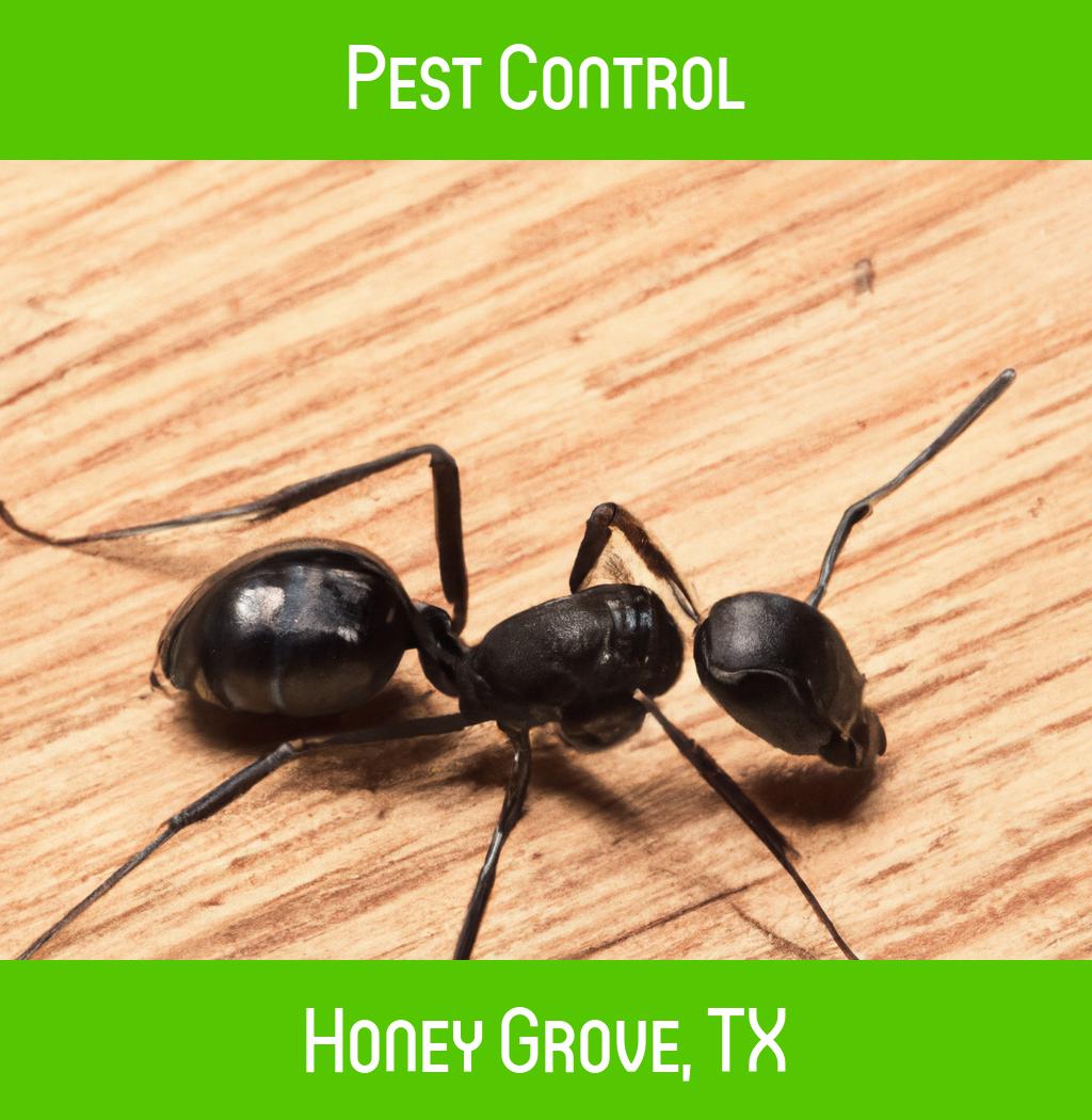 pest control in Honey Grove Texas