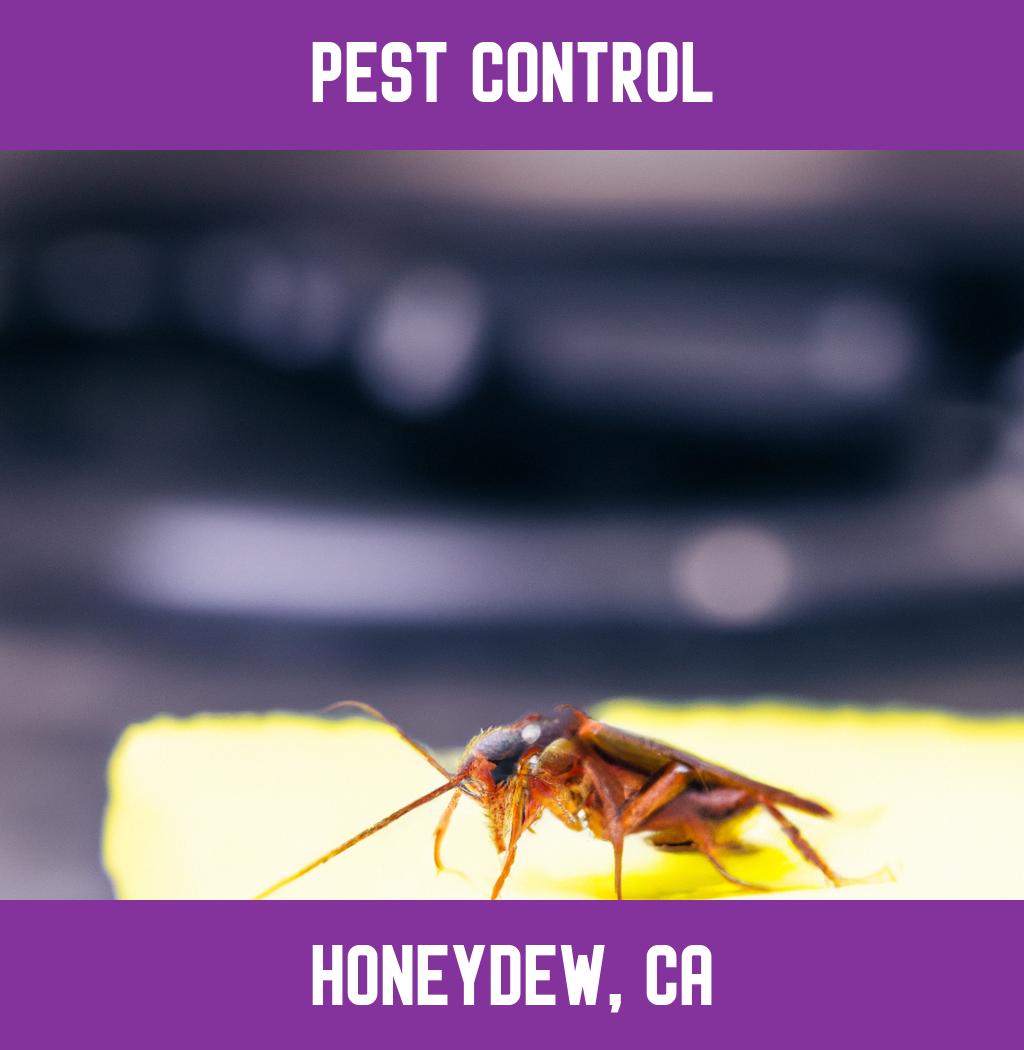 pest control in Honeydew California