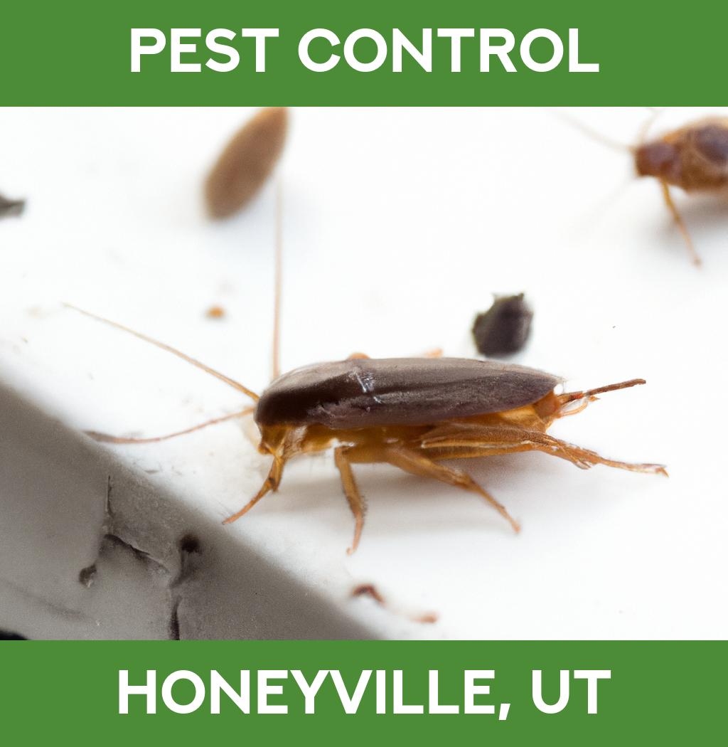 pest control in Honeyville Utah